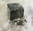 Gleaming, Cubic Pyrite With Quartz Crystals - Peru #54981-2